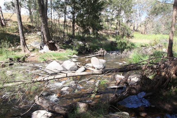 Coxs River - Glenroy Cabins and Camp Ground - Canon 5D (13/12/2012 - Credits: Luke Torrevillas)