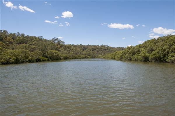 Georges River (5/12/2013)