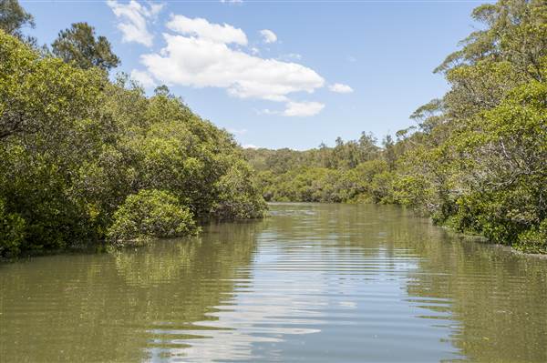 Georges River (5/12/2013)