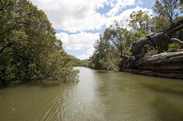 Georges River (5/12/2013)