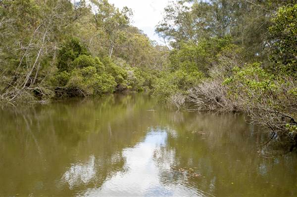 Georges River (5/12/2013)