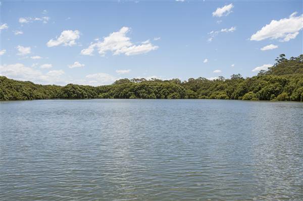 Georges River (5/12/2013)