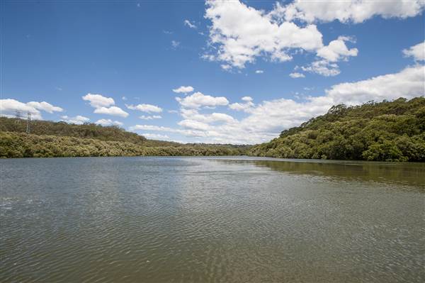 Georges River (5/12/2013)