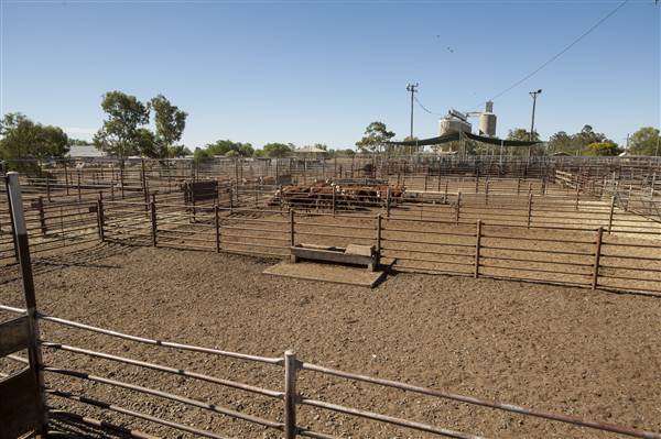 Coonamble (26/11/2013)