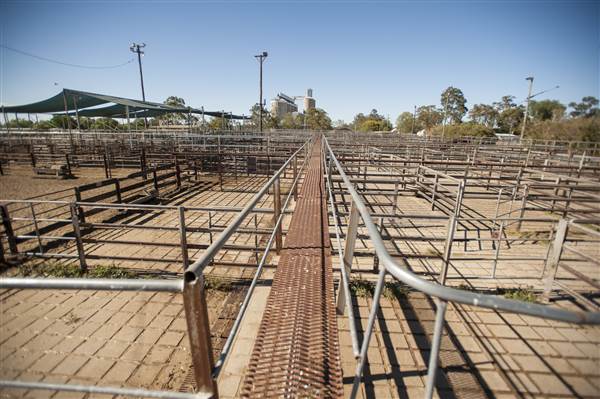 Coonamble (26/11/2013)