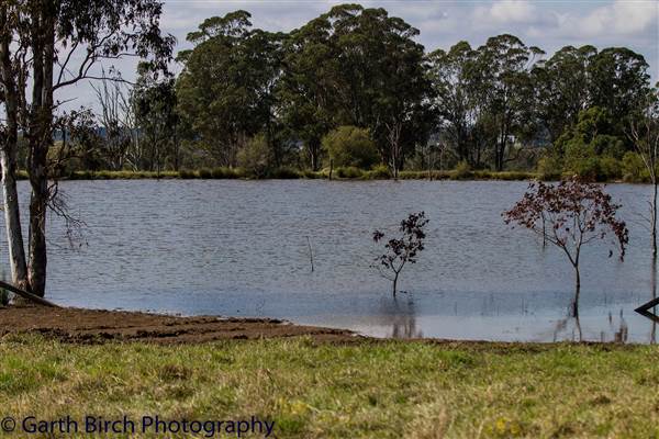 Scenic NSW Equine Centre (25/09/2013 - Credits: Ivy Carrano, Garth Birch)