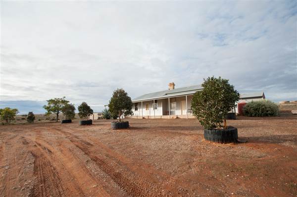 Mount Gipps Station (6/06/2013 - Credits: Colin McDougall)