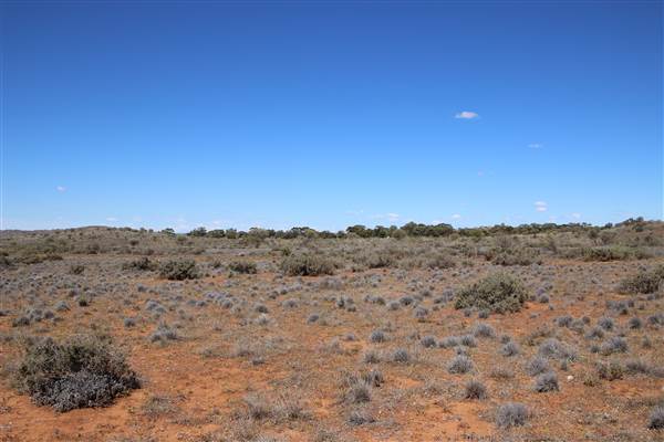 Broken Hill Sculptures Site and Living Desert (13/09/2013 - Credits: Lyndall Roberts)