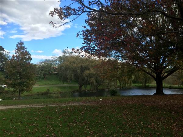 Centennial Park (25/06/2014)