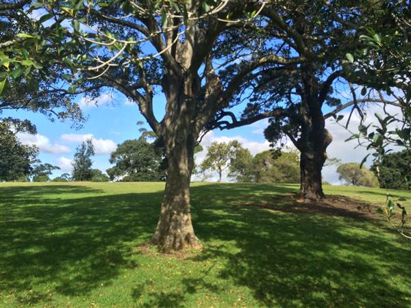 Centennial Park (25/06/2014)