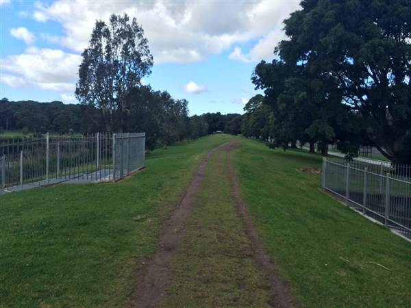 Centennial Park (25/06/2014)
