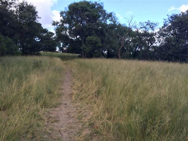 Centennial Park (25/06/2014)