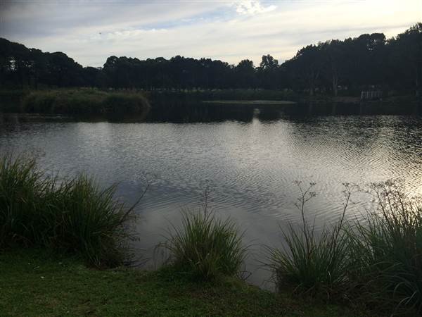 Centennial Park (25/06/2014)