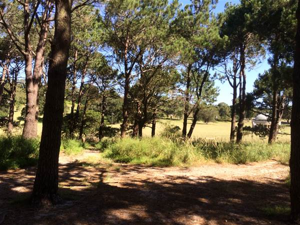 Centennial Park (25/06/2014)
