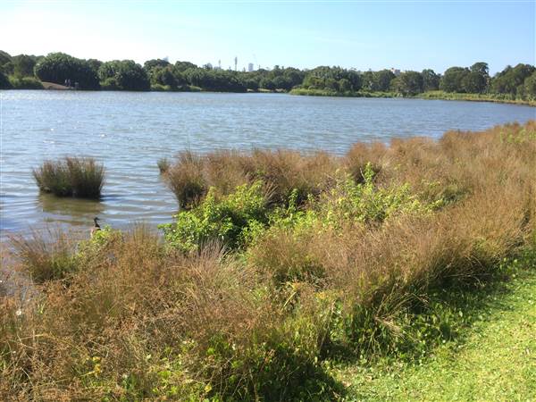 Centennial Park (25/06/2014)