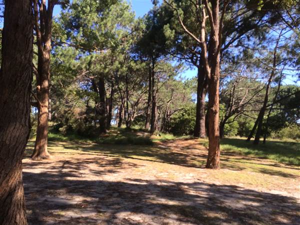 Centennial Park (26/06/2014)