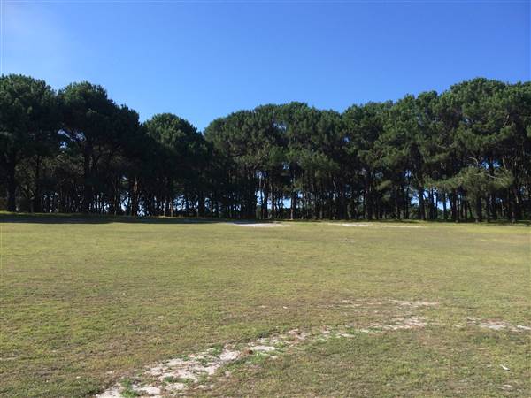 Centennial Park (26/06/2014)