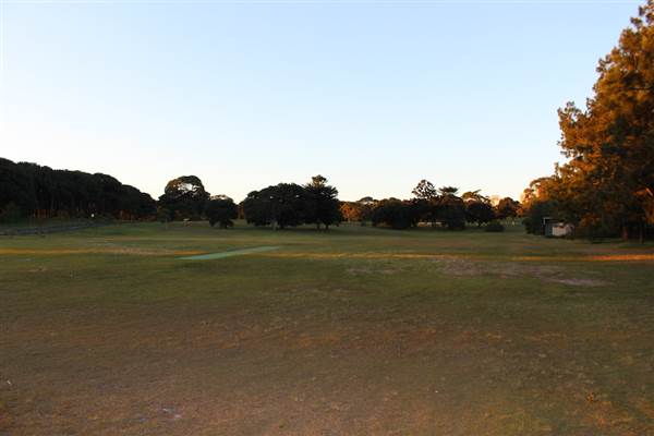 Centennial Park - Loch Ave South (7/07/2014)