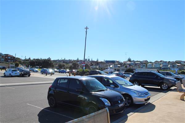 Clovelly Beach (7/07/2014)