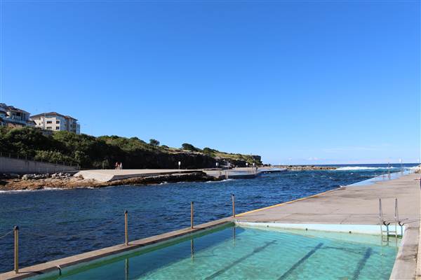 Clovelly Beach (7/07/2014)
