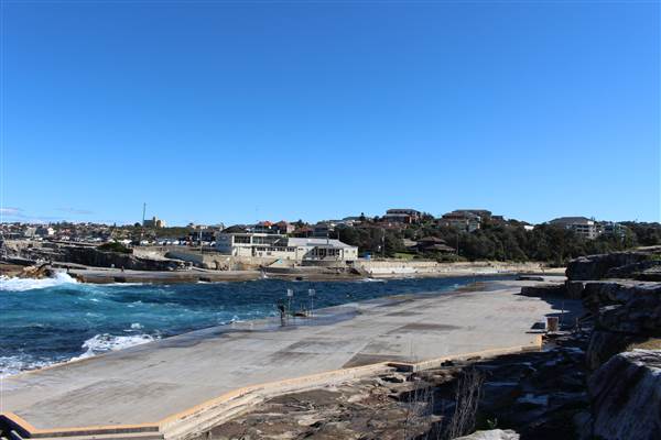 Clovelly Beach (7/07/2014)