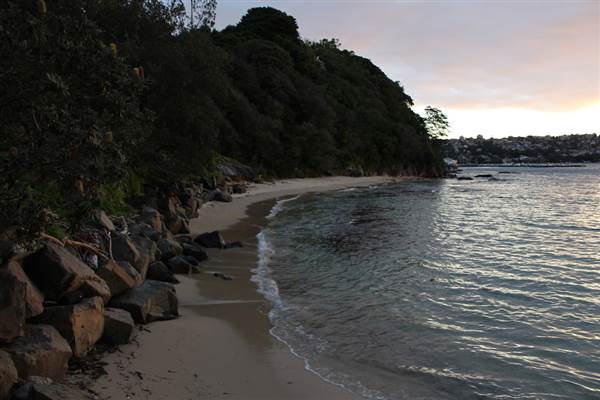 Cobblers Beach - Sydney Harbour National Park (7/07/2014 - Credits: Jeremy Peek)