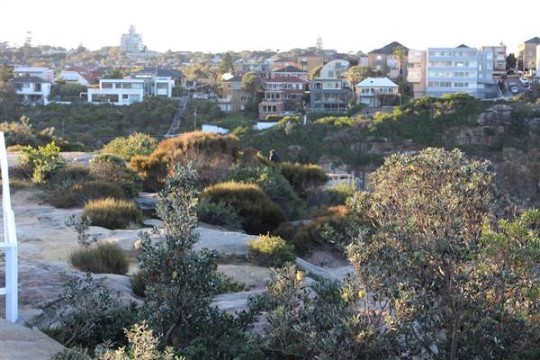 Dunningham Reserve Coogee (9/07/2014 - Credits: Jeremy Peek)
