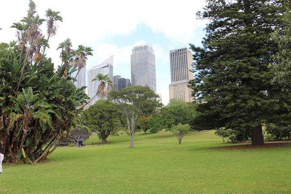 Maiden Theatre - Royal Botanic Garden Sydney (24/10/2014)