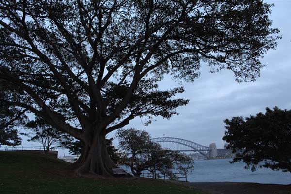Mrs. Macquarie's Point - Royal Botanic Garden Sydney (24/10/2014)