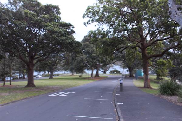 Mrs. Macquarie's Point - Royal Botanic Garden Sydney (24/10/2014)