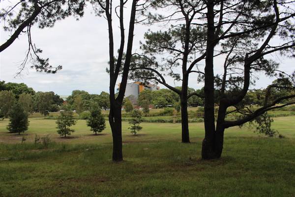 Centennial Park - Ash Paddock (24/10/2014)
