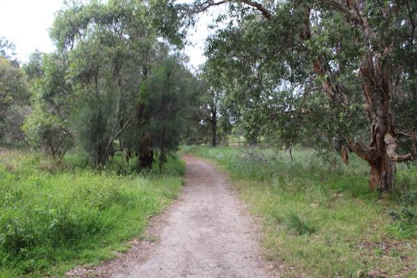 Centennial Park - Ash Paddock (24/10/2014)