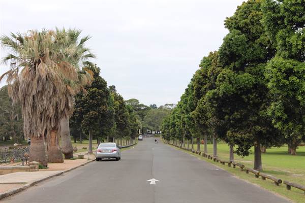 Centennial Park - Church Grounds (24/10/2014)