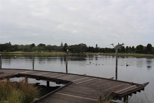 Centennial Park - Duck Pond (24/10/2014)