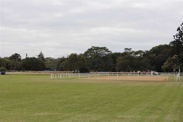 Centennial Park - Equestrian Grounds (24/10/2014)