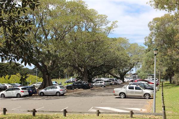 Centennial Park - Mount Steel (24/10/2014)