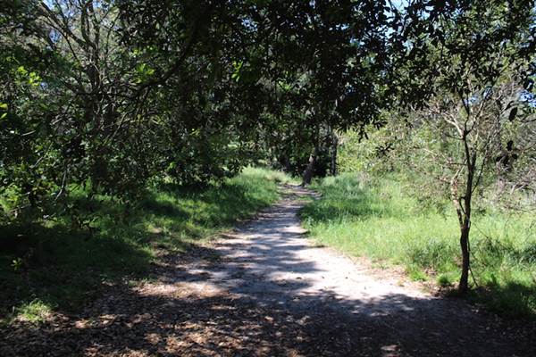 Centennial Park - Sandstone Ridge (24/10/2014)