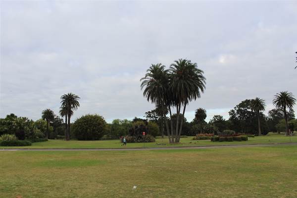 Centennial Park - Frog Hollow (24/10/2014)