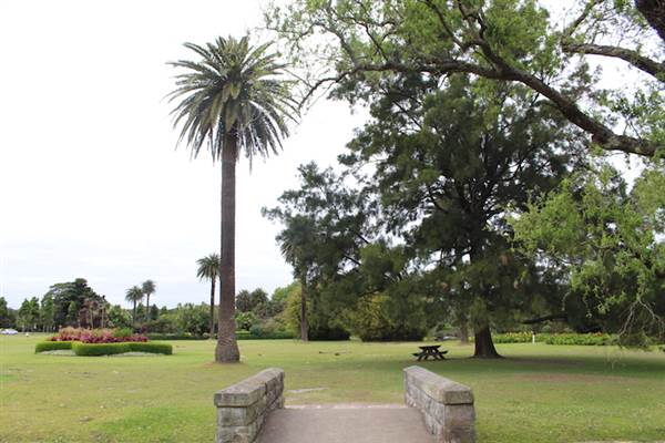 Centennial Park - Frog Hollow (24/10/2014)