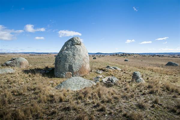 Monaro Plains (14/11/2014 - Credits: Colin McDougall)
