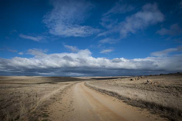 Monaro Plains (14/11/2014 - Credits: Colin McDougall)
