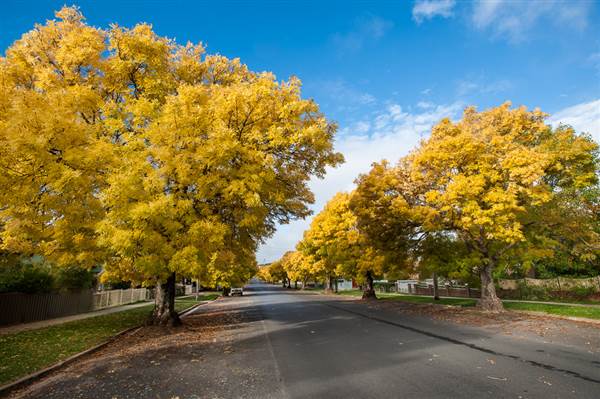 Crookwell (12/03/2015)