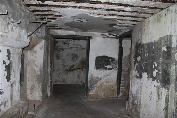 Middle Head Fortifications (13/03/2015)