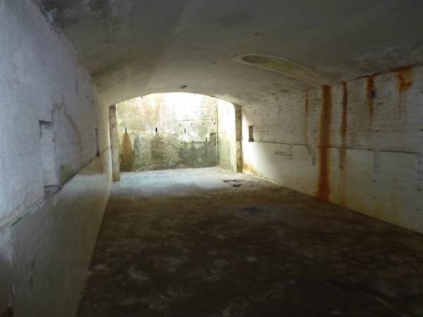 Middle Head Fortifications (13/03/2015)