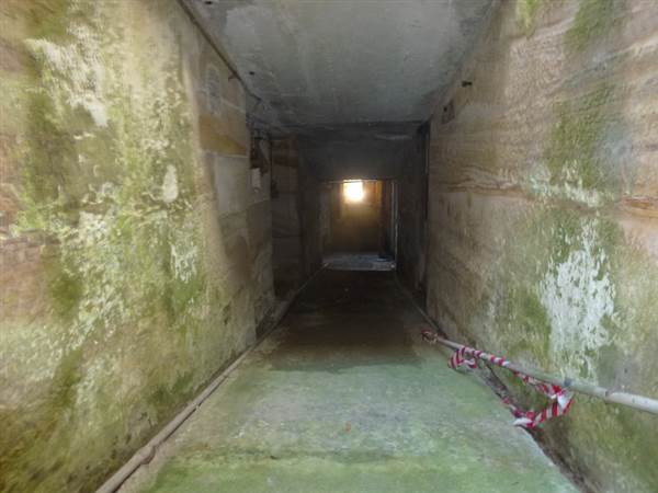 Middle Head Fortifications (13/03/2015)
