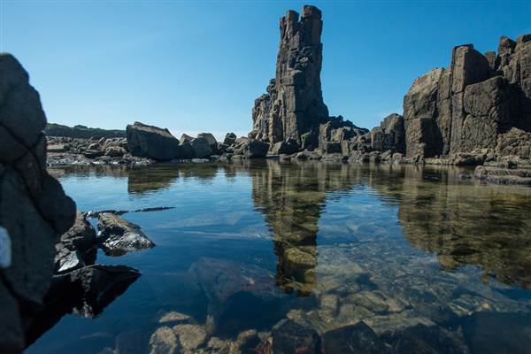 Bombo Headland Quarry (30/04/2015 - Credits: Colin McDougall)