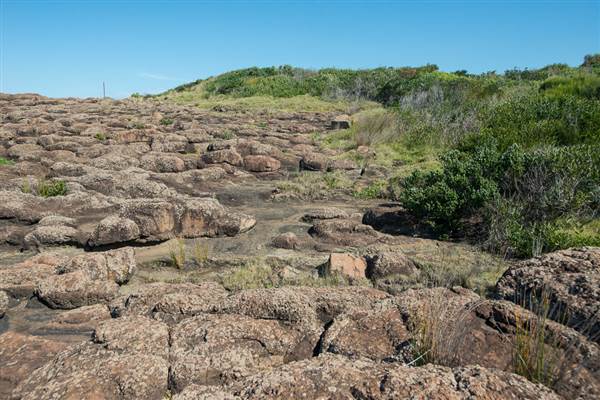Bombo Headland Quarry (30/04/2015 - Credits: Colin McDougall)