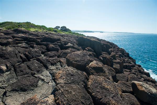 Bombo Headland Quarry (30/04/2015 - Credits: Colin McDougall)
