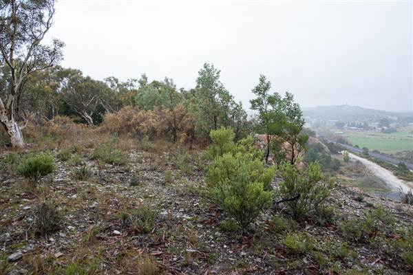 Goulburn Escarpment (30/04/2015 - Credits: Colin McDougall)