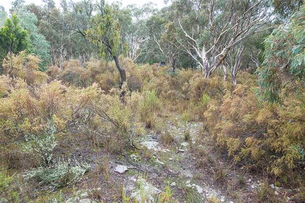 Goulburn Escarpment (30/04/2015 - Credits: Colin McDougall)